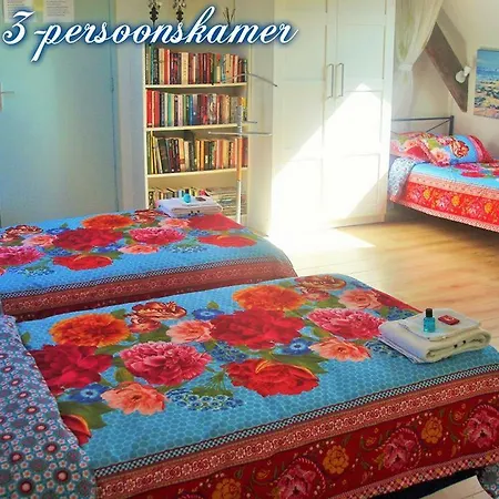 홈스테이 'de Spiering' *