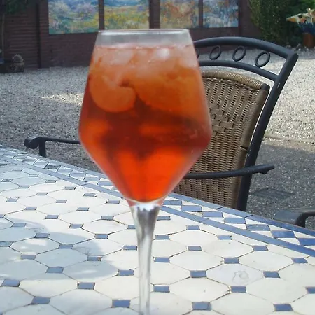 홈스테이 'de Spiering' *