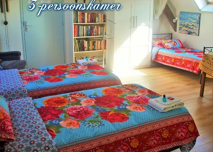 Pansiyon 'de Spiering' *